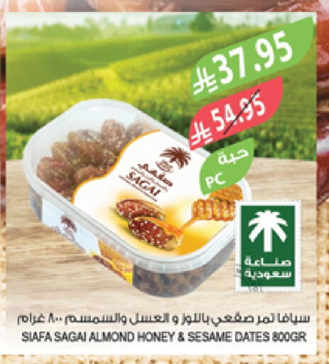Sesame available at Farm  in KSA, Saudi Arabia, Saudi - Jazan