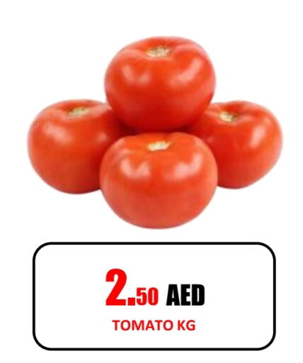 Tomato available at Gift Day Hypermarket in UAE - Sharjah / Ajman