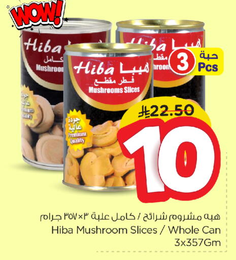 NOOR available at Nesto in KSA, Saudi Arabia, Saudi - Al Hasa