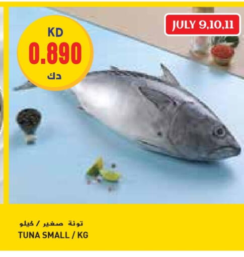 تونة available at جراند هايبر in الكويت - محافظة الأحمدي