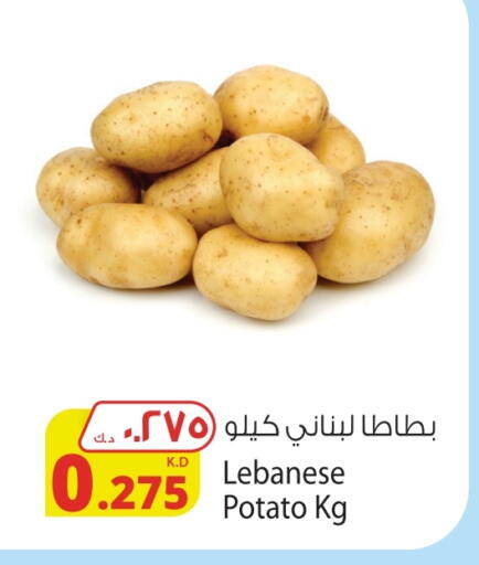 Potato from Lebanon available at Agricultural Food Products Co. in Kuwait - Kuwait City