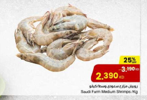 available at The Sultan Center in Kuwait - Ahmadi Governorate