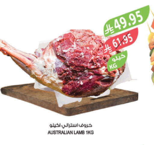 Mutton / Lamb available at Farm  in KSA, Saudi Arabia, Saudi - Al-Kharj