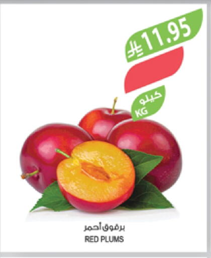 Peach available at Farm  in KSA, Saudi Arabia, Saudi - Khafji