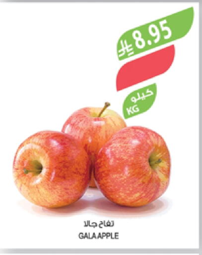 Apples available at Farm  in KSA, Saudi Arabia, Saudi - Sakaka