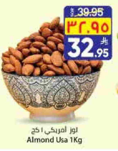 available at City Flower in KSA, Saudi Arabia, Saudi - Jubail