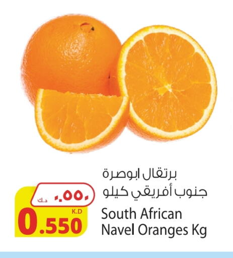 Orange from South Africa available at Agricultural Food Products Co. in Kuwait - Ahmadi Governorate