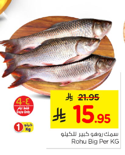 available at نستو in مملكة العربية السعودية, السعودية, سعودية - الخبر‎