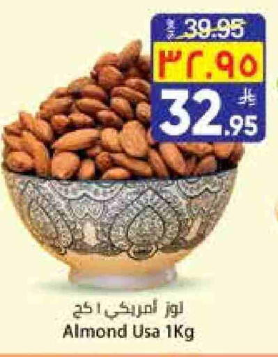 available at City Flower in KSA, Saudi Arabia, Saudi - Hail