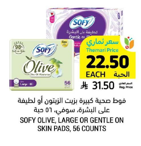النظافة الشخصية النسائية in أسواق التميمي, المملكة العربية السعودية Offers - المملكة العربية السعودية صوفي available at أسواق التميمي in مملكة العربية السعودية, السعودية, سعودية - حفر الباطن