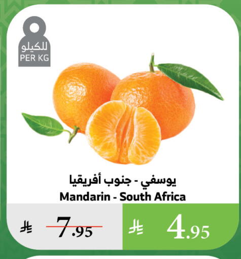 Orange from South Africa available at Al Raya in KSA, Saudi Arabia, Saudi - Bishah