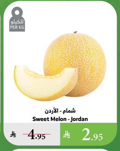 Sweet melon from Jordan available at Al Raya in KSA, Saudi Arabia, Saudi - Bishah