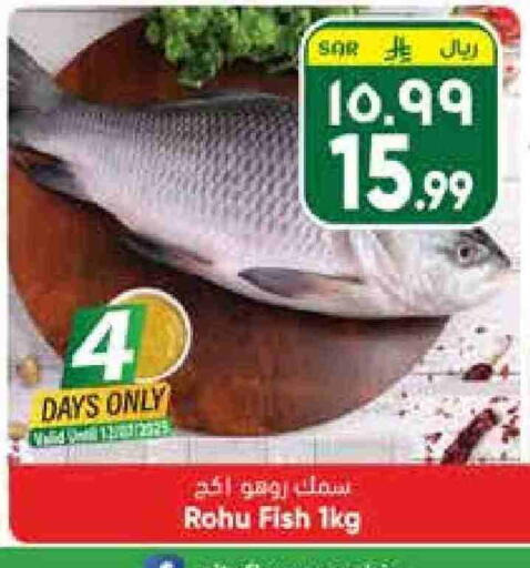 available at City Flower in KSA, Saudi Arabia, Saudi - Riyadh