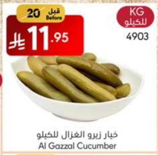 Cucumber available at مانويل ماركت in مملكة العربية السعودية, السعودية, سعودية - جدة