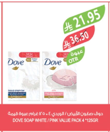 DOVE available at Farm  in KSA, Saudi Arabia, Saudi - Qatif