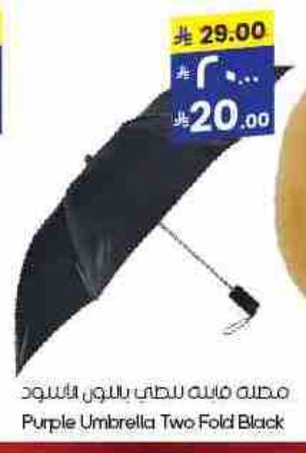 available at City Flower in KSA, Saudi Arabia, Saudi - Buraidah