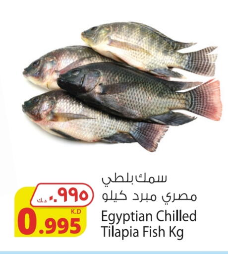 available at Agricultural Food Products Co. in Kuwait - Kuwait City