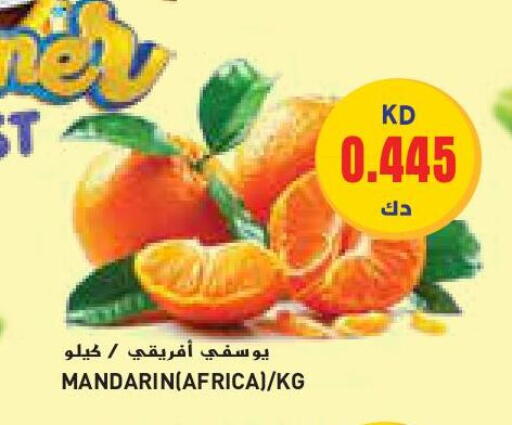 Orange available at Grand Costo in Kuwait - Ahmadi Governorate