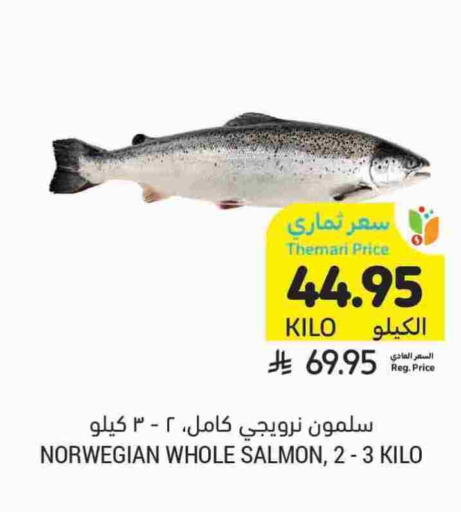 available at أسواق التميمي in مملكة العربية السعودية, السعودية, سعودية - تبوك