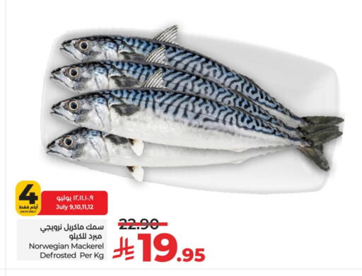 available at LULU Hypermarket in KSA, Saudi Arabia, Saudi - Hail