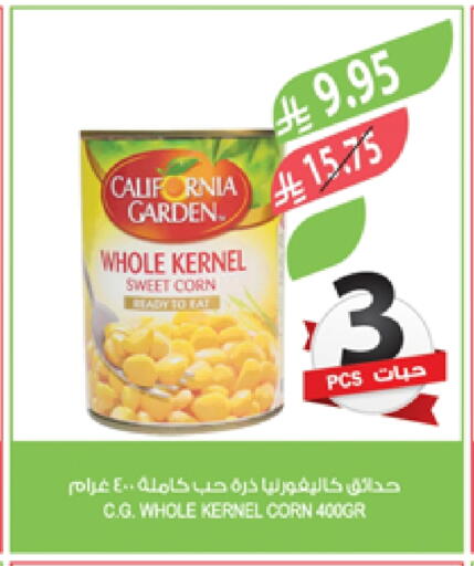 CALIFORNIA GARDEN available at Farm  in KSA, Saudi Arabia, Saudi - Qatif