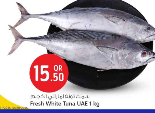 available at سفاري هايبر ماركت in قطر - أم صلال
