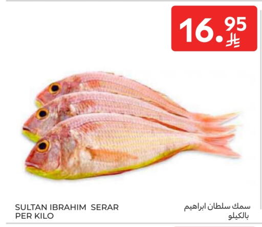 available at Carrefour in KSA, Saudi Arabia, Saudi - Jeddah