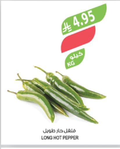 فلفل / فليفلة available at المزرعة in مملكة العربية السعودية, السعودية, سعودية - سكاكا