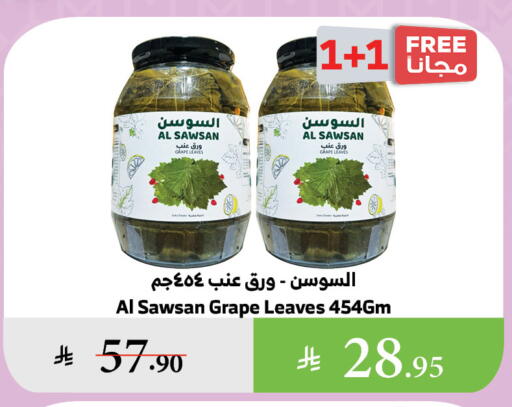 available at Al Raya in KSA, Saudi Arabia, Saudi - Medina