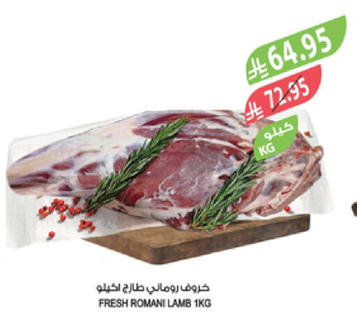 Mutton / Lamb available at Farm  in KSA, Saudi Arabia, Saudi - Al-Kharj