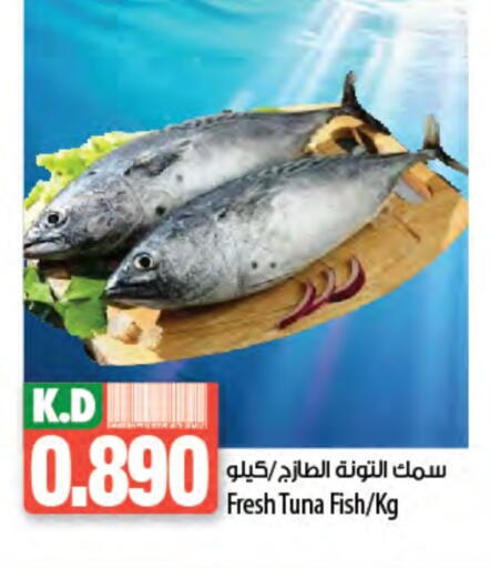 Tuna available at Mango Hypermarket  in Kuwait - Kuwait City