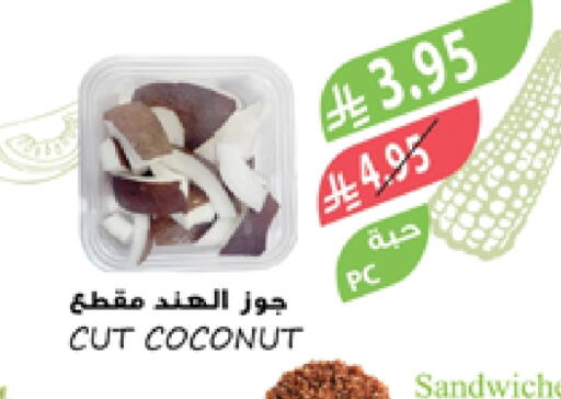Coconut available at Farm  in KSA, Saudi Arabia, Saudi - Tabuk