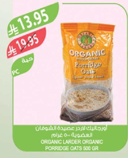 Oats available at Farm  in KSA, Saudi Arabia, Saudi - Yanbu