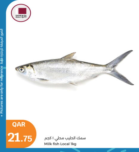 available at سيتي هايبرماركت in قطر - أم صلال