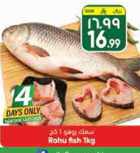 available at City Flower in KSA, Saudi Arabia, Saudi - Hail
