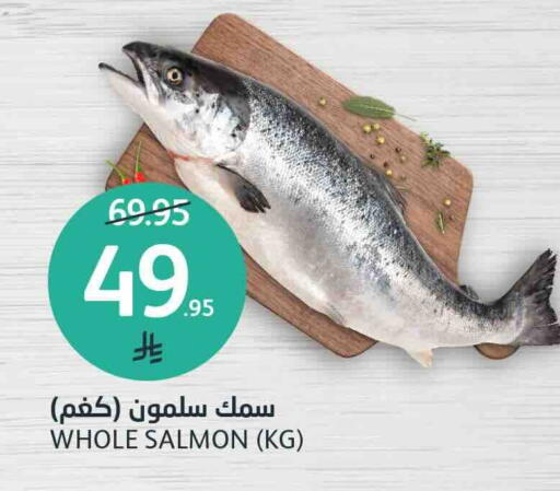 available at مركز الجزيرة للتسوق in مملكة العربية السعودية, السعودية, سعودية - الرياض