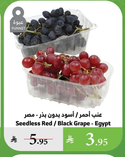Grapes from Egypt available at Al Raya in KSA, Saudi Arabia, Saudi - Abha
