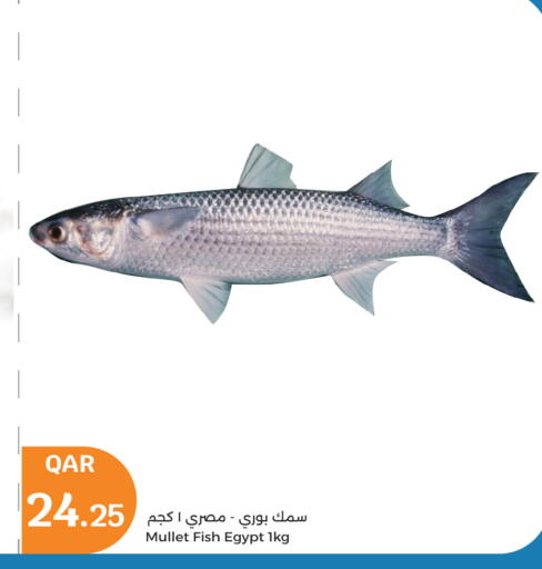 available at سيتي هايبرماركت in قطر - أم صلال