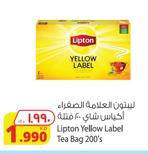 Lipton Tea Bags available at Agricultural Food Products Co. in Kuwait - Kuwait City