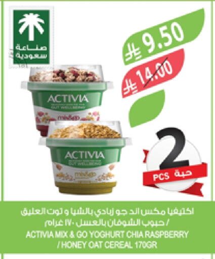 Raspberry available at Farm  in KSA, Saudi Arabia, Saudi - Yanbu