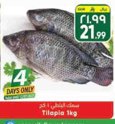 available at City Flower in KSA, Saudi Arabia, Saudi - Hail