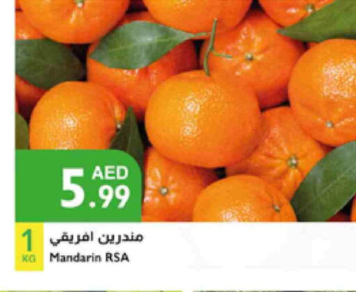 فاكهة طازجة in إسطنبول سوبرماركت, UAE Offers - الإمارات العربية المتحدة برتقال available at إسطنبول سوبرماركت in الإمارات العربية المتحدة , الامارات - رَأْس ٱلْخَيْمَة