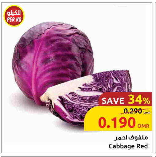 Cabbage available at Sultan Center  in Oman - Muscat
