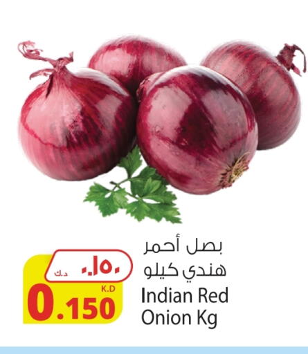 Onion from India available at Agricultural Food Products Co. in Kuwait - Ahmadi Governorate