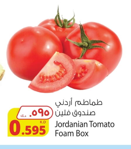 Tomato from Jordan available at Agricultural Food Products Co. in Kuwait - Ahmadi Governorate