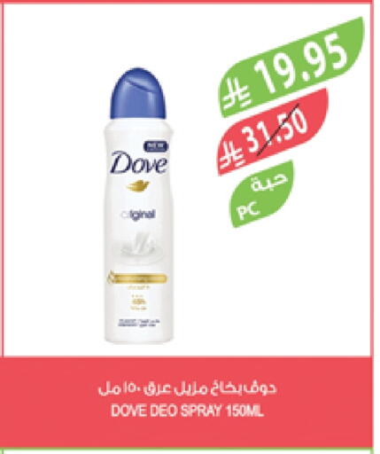 DOVE available at Farm  in KSA, Saudi Arabia, Saudi - Tabuk