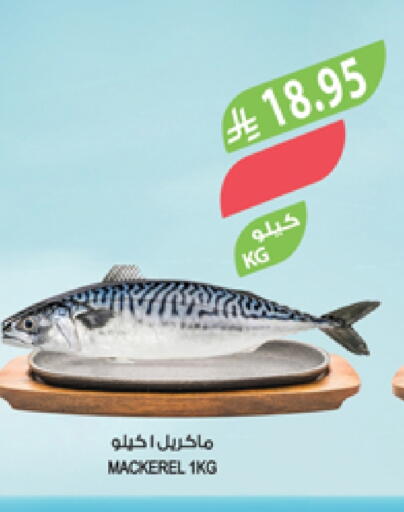 available at المزرعة in مملكة العربية السعودية, السعودية, سعودية - تبوك