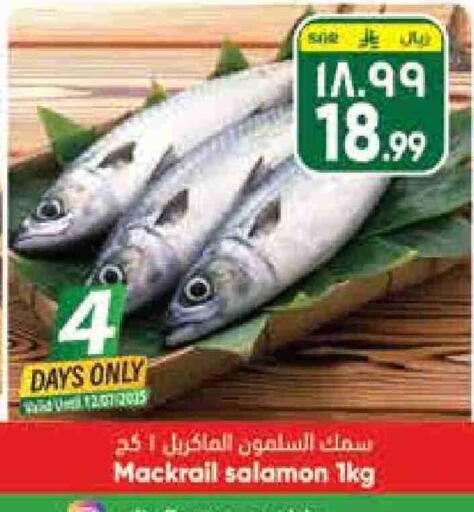 available at City Flower in KSA, Saudi Arabia, Saudi - Hail