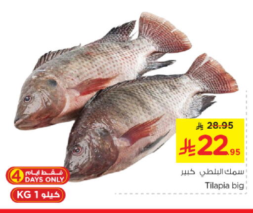 available at نستو in مملكة العربية السعودية, السعودية, سعودية - الخرج