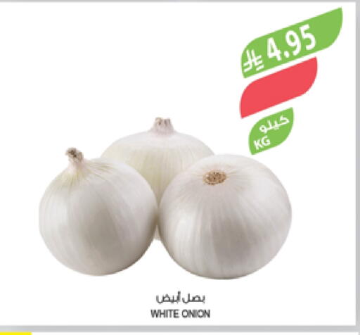 White Onion available at Farm  in KSA, Saudi Arabia, Saudi - Al Bahah